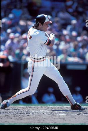 Baltimore Orioles baseball player Cal Ripken Jr. -- Please credit  photographer Kirk Schlea Stock Photo - Alamy