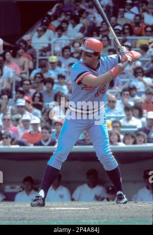 Kent Hrbek Minnesota Twins 1984 Cooperstown Home Throwback -  Denmark