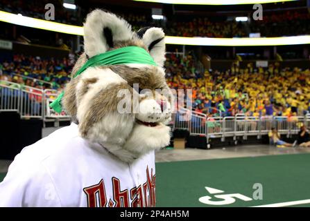 Arizona Diamondbacks mascot Baxter in the first inning during a baseball  game against the San Diego Padres, Sunday, June 21, 2015, in Phoenix. (AP  Photo/Rick Scuteri Stock Photo - Alamy