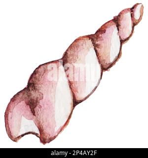 Watercolor sea shell isolated clip art vector. Stock Vector