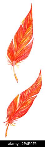 Red orange yellow bird feathers set vector isolated. Stock Vector