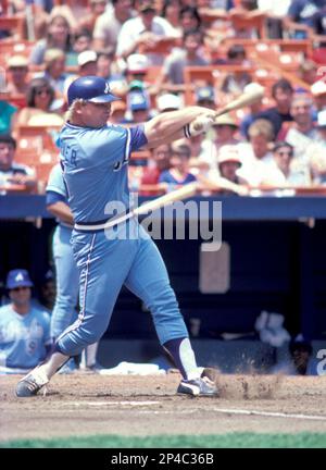 Atlanta Braves' Bob Horner with teammates during introductions before a  game, 1980 - Atlanta Journal-Constitution Photographs - Georgia State  University Library Digital Collections