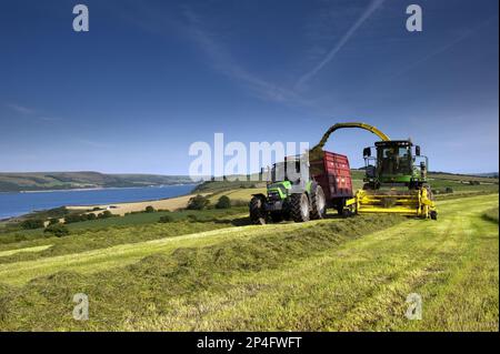 John Deere self-propelled forage harvester, tractor and trailer, grass for silage harvesting, Loch Ryan, Dumfries and Galloway, Scotland, United Stock Photo