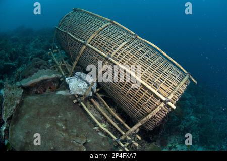 Fish trap on reef, Pantar Island, Alor Archipelago, Lesser Sunda Islands, Indonesia Stock Photo