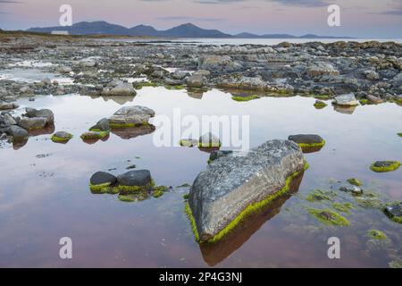 View of rockpools on beach at low tide, Aird a Mhachair, South Uist, Outer Hebrides, Scotland, United Kingdom Stock Photo