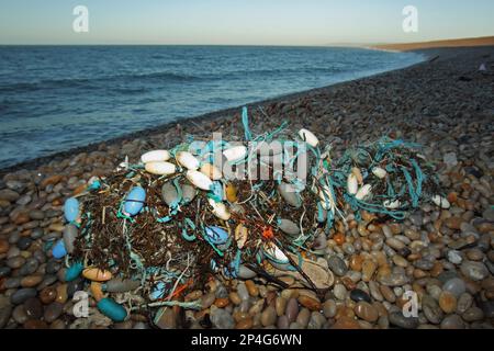 Gill net washed up on beach, Chesil Beach, Dorset, England, United Kingdom Stock Photo