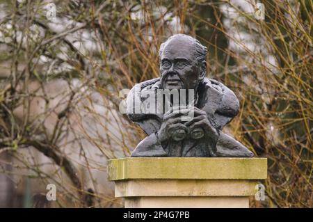 Bust of Sir Peter Scott wet from the rain, naturalist and founder of the Wildfowl and Wetlands Trust, Slimbridge, Gloucestershire, England, United Stock Photo