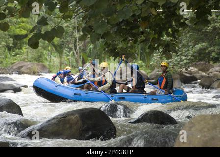 People wearing hard hats and life jackets, rafting in rapids in Dingys, Citarik River, West Java, Indonesia Stock Photo