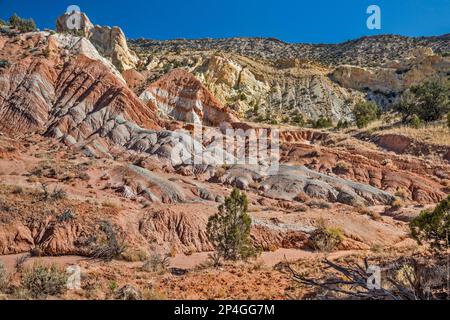 Candyland area rocks, Cottonwood Canyon, The Cockscomb in distance, Grand Staircase Escalante National Monument, Utah, USA Stock Photo
