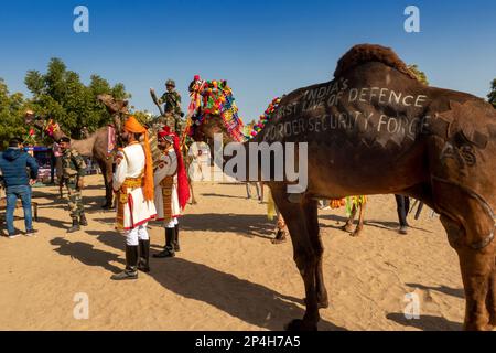 India, Rajasthan, Bikaner, National Camel Research Centre, Camel Festival, Border Security Force, India’s First Line of Defence camel Stock Photo