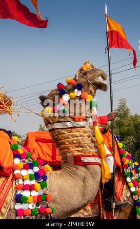 India, Rajasthan, Bikaner, Camel Festival Parade, decorated Border Security Force camel Stock Photo