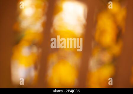 Orange fall natural trees bokeh. Colorful autumn yellow, orange, red leaves bokeh background. Stock Photo