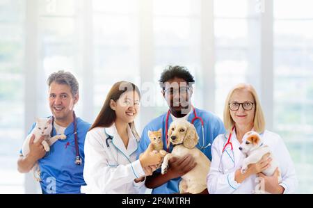 Vet examining dog and cat. Group of veterinarian doctors with puppy and kitten at animal clinic. Interracial team of health workers. Stock Photo