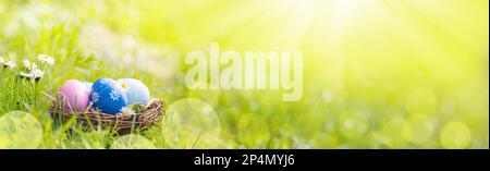 Nest with Easter eggs in grass on a sunny spring day - Easter decoration, banner, panorama, background with copy space -  Happy Easter Stock Photo