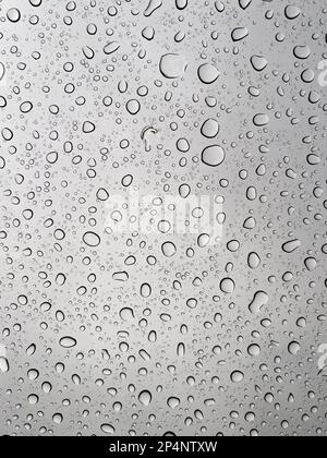 rain or water droplets on glass Stock Photo