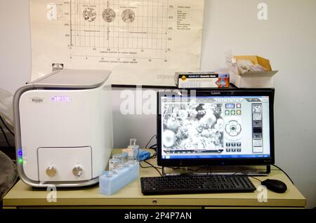 Scanning electron microscope samples on specimen mounts. SEM pins to ...