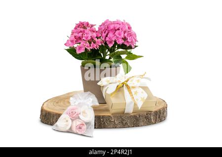 Floral celebration gifts isolated on white background. Stock Photo