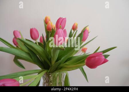 bouquet of pink and yellow tulips in vase closeup across white all on the wooden drawer. Interior detail. Hotel interior Stock Photo
