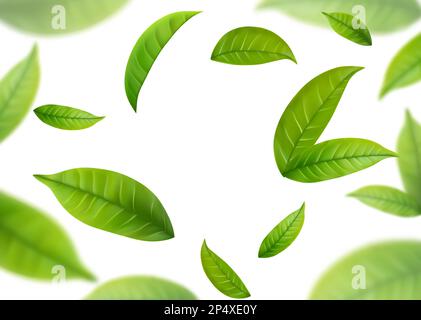Realistic green tea leaves in motion Stock Vector