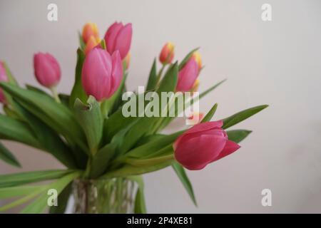 bouquet of pink and yellow tulips in vase closeup across white all on the wooden drawer. Interior detail. Hotel interior Stock Photo