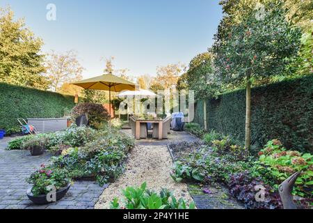 Amsterdam, Netherlands - 10 April, 2021: a backyard area with plants and an umbrella over the grill in the middle, surrounded by green bushes on either side Stock Photo