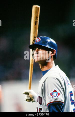 Shawn Green of the Toronto Blue Jays during a game against the