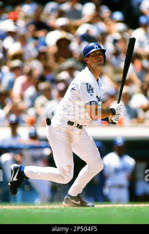 Adrian Beltre of the Los Angeles Dodgers bats during a 2002 MLB season game  at Dodger Stadium, in Los Angeles, California. (Larry Goren/Four Seam  Images via AP Images Stock Photo - Alamy