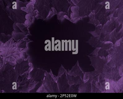 purple background for halloween of autumn fallen leaves with black space for text in the middle, copy space Stock Photo