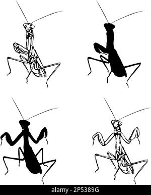 Mantis, mantis insect, various images, vector, black, silhouette, nature, realism Stock Vector