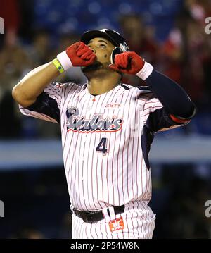 Wladimir Balentien, outfielder of Japanese baseball team Yakult Swallows  holds up a memorial plate after hitting his 56th home run during the ball  game agaisnt the Hanshin Tigers at the Jingu Stadium