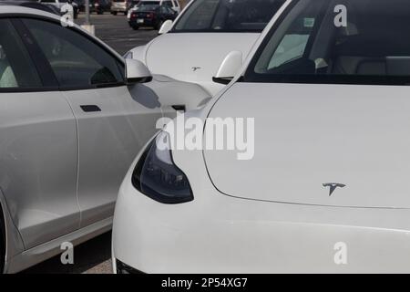 Indianapolis - Circa March 2023: Tesla EV electric vehicles on display. Tesla products include electric cars, battery energy storage, solar panels and Stock Photo