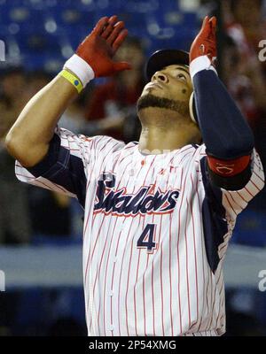 Former major leaguer Wladimir Balentien of the Yakult Swallows responds to  supporters after hitting his 55th home run during the 6th inning in the  ballgame against the Hiroshima Carp at the Jingu