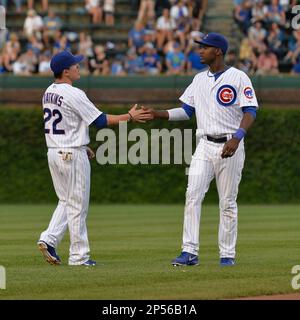 Chicago Cubs second baseman Logan Watkins (45) loses the ball as