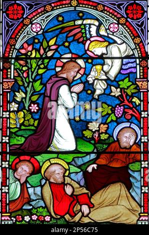 Jesus prays in Garden of Gethsamane, Disciples sleep, Old Hunstanton stained glass window, detail of life of Jesus, by Frederick Preedy, 1867 Stock Photo