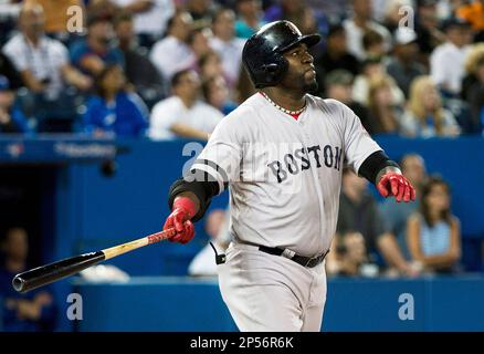 665 David Ortiz Dustin Pedroia Photos & High Res Pictures - Getty Images