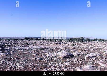 Landscape of Kesra, Siliana, Tunisia North Africa Stock Photo
