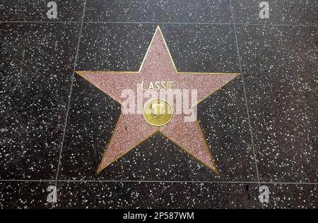 Lassie - Hollywood Star Walk - Los Angeles Times