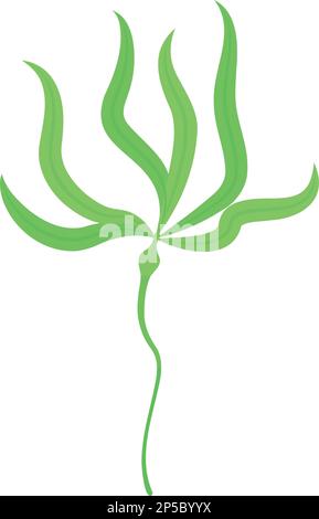 Spirulina plant icon isometric vector. Marine alga. Water coral Stock Vector