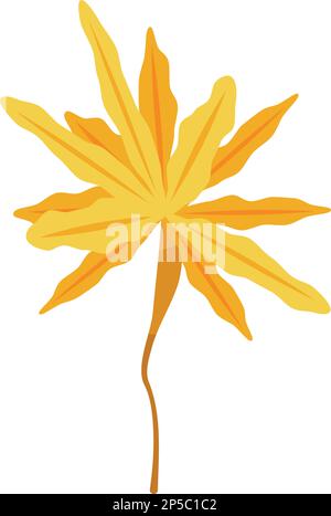 Sea plant leaf icon isometric vector. Marine algae. Green water Stock Vector