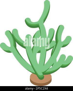Alga plant icon isometric vector. Sea algae. Marine seaweed Stock Vector