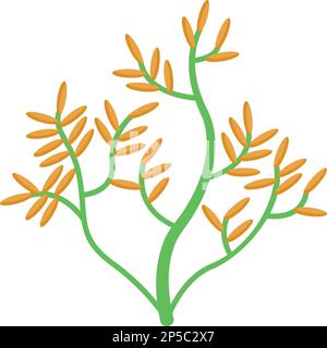 Algae plant icon isometric vector. Sea alga. Green plant Stock Vector