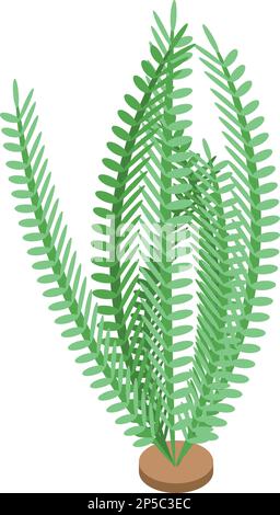 Ocean plant icon isometric vector. Marine alga. Aquatic water Stock Vector