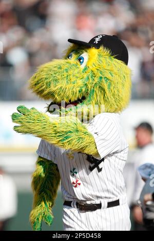 Chicago White Sox mascot 'Southpaw' in running for 2022 Mascot Hall of Fame  - ABC7 Chicago