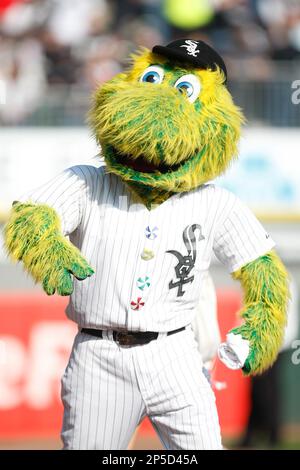 CHICAGO, IL- MAY 21: The White Sox mascot Southpaw entertains fans in  between innings during the game between the Minnesota Twins against the  Chicago White Sox at U.S. Cellular Field on May