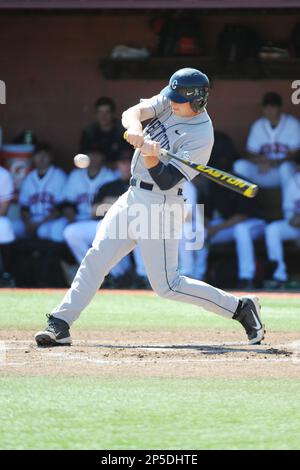 University of Connecticut infielder L.J. Mazzilli (24) during game against  the Rutgers University Scarlet Knights at Bainton Field on May 3, 2013 in  Piscataway, New Jersey. Connecticut defeated Rutgers 3-1. (Tomasso DeRosa/