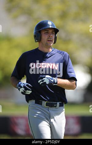 University of Connecticut infielder L.J. Mazzilli (24) during game against  the Rutgers University Scarlet Knights at Bainton Field on May 3, 2013 in  Piscataway, New Jersey. Connecticut defeated Rutgers 3-1. (Tomasso DeRosa/