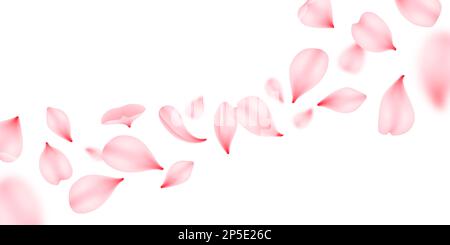 Flying sakura petals, vector pink flowers of japan cherry blossom falling down. Romantic spring floral background with sakura bloom, rose or peach flo Stock Vector