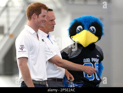 Air Force Falcons The Bird 10 Mascot Plush Figure