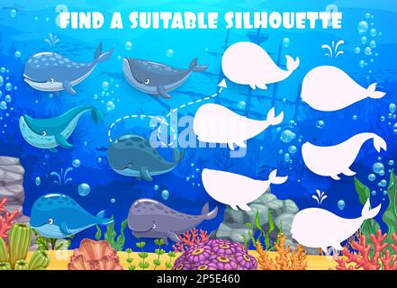 Find the correct shadow of whale, cachalot and sperm whale cartoon ...