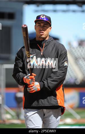 Giancarlo Stanton Projects  Photos, videos, logos, illustrations